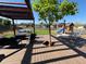 Landscaped backyard boasts a wooden deck with a built-in tree planter, outdoor seating, and a play structure at 7029 Sagerock St, Castle Pines, CO 80108