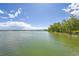Scenic lake view with green trees lining the shore under a partly cloudy, bright blue sky at 10301 Owens Cir, Broomfield, CO 80021