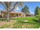 Backyard with large tree, lawn, and covered patio at 12286 W Tennessee, Lakewood, CO 80228