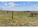 A vast expanse of grassy land with scattered trees at 371 Buckskin Ct, Parker, CO 80138