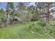 Lush backyard featuring mature trees, a well-kept lawn, and the house with a deck provides outdoor living space at 24556 E Ottawa Ave, Aurora, CO 80016