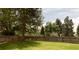 Spacious backyard with green lawn, mature trees, and a wooden privacy fence at 4121 S Cherry St, Cherry Hills Village, CO 80113