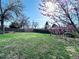 Large grassy backyard with trees and a wooden fence at 413 Jamaica St, Aurora, CO 80010