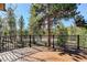 Spacious deck with black railings and views of the surrounding forest and blue sky at 9299 William Cody Dr, Evergreen, CO 80439