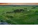 A rural property with a charming home, a large outbuilding, and custom built motocross track surrounded by lush greenery at 1353 S Elbert St, Elizabeth, CO 80107