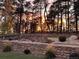 Landscaped backyard with a stone retaining wall, lush greenery, and a picturesque view, perfect for relaxation at 16244 Thunder Cat Way, Monument, CO 80132
