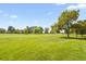 Green landscape view with many trees at 455 Greenwood, Longmont, CO 80504