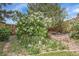 Garden area featuring lush greenery, flowering bushes, gravel, stone pathways, and a wooden fence at 6769 W 70Th Ave, Arvada, CO 80003