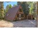 Charming A-frame home with mature trees and adjacent storage shed at 100 Aspen Ln, Evergreen, CO 80439
