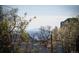 Distant view of the mountains with rooftops and trees in the foreground at 461 N Marion St, Denver, CO 80218