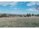 Expansive view of the open land and mountain range in the distance at 3535 Medallion Rd, Castle Rock, CO 80104