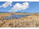 Picturesque pond with cattails and mountains in the background at 1049 Lilac St, Broomfield, CO 80020