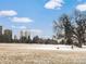 Scenic view of Cheesman Park with trees and a person walking their dog at 1100 N Marion St # 4, Denver, CO 80218