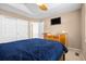 This bedroom has a ceiling fan and a blue bedspread at 9025 Rocky Mountain Ln, Parker, CO 80138
