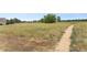Open trail pathway in the community, meandering through tall grasses and offering a scenic route at 13275 Holly St # B, Thornton, CO 80241