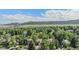 Scenic aerial view of neighborhood surrounded by lush trees and mountain views at 11022 Trailrider Pass, Littleton, CO 80127