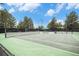 A well-maintained tennis court with green surface, black fence and nets at 11022 Trailrider Pass, Littleton, CO 80127