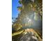 Beautiful outdoor walking path lined with trees in autumn with the sun shining at 11022 Trailrider Pass, Littleton, CO 80127