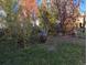 Cozy backyard with green grass, mature trees, landscaping and a unique outdoor fireplace feature at 21734 Farmingdale Ct, Parker, CO 80138