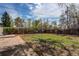 Large backyard and grass area surrounded by trees and a wood fence for privacy at 6220 W 11Th Pl, Lakewood, CO 80214