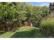 The backyard features a large lush lawn bordered by trees and a wooden fence at 6073 W Adriatic Pl, Lakewood, CO 80227