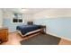 Bedroom featuring natural light, hardwood floors, a blue accent wall and an area rug at 7796 Xavier Ct, Westminster, CO 80030