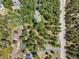 An aerial view showcases a charming home nestled among lush trees near a paved road at 4515 Red Rock Dr, Larkspur, CO 80118