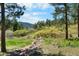 Scenic view of the land with lush greenery, trees, and mountains in the background on a sunny day at 4515 Red Rock Dr, Larkspur, CO 80118