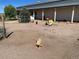 Enclosed chicken coop area near the barn featuring fowl, equipment, and ample space at 10515 Lucas Ave, Franktown, CO 80116