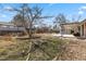 Spacious backyard with mature tree and covered patio, surrounded by brick landscaping at 2572 Beech Ct, Golden, CO 80401