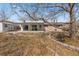 Tree-lined backyard features an open lawn and access to a covered patio and storage shed at 2572 Beech Ct, Golden, CO 80401