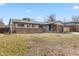Single-story home with brick accents, a well-maintained lawn, and a driveway with walkway at 2572 Beech Ct, Golden, CO 80401