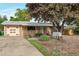 Welcoming home exterior featuring a well-maintained lawn, mature tree, and charming front entrance at 2520 Dover Ct, Lakewood, CO 80215