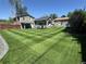 Large back yard featuring a green lawn, a raised patio, and home's exterior at 8700 S Ammons St, Littleton, CO 80128