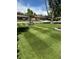 Lush front yard with mature trees and landscaping that adds to the curb appeal at 8700 S Ammons St, Littleton, CO 80128