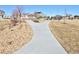 A stone and mulch walking path splits around landscaping in this verdant community park at 16722 Chilton Dr, Mead, CO 80542