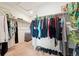 Spacious walk-in closet with ample storage and organization options for clothing and accessories at 19316 W 84Th Pl, Arvada, CO 80007