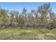 This large backyard features mature trees, a creek, and plenty of green space at 444 Vance St, Lakewood, CO 80226