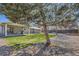 Backyard featuring a well-maintained lawn and mature trees at 6953 W Roxbury Pl, Littleton, CO 80128