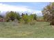Spacious backyard with long grassy area and mature trees in the distance at 9745 Quay Loop, Westminster, CO 80021