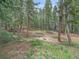 Backyard with mature trees offering shade and space for swings and outdoor play at 7585 Native Dancer Trl, Evergreen, CO 80439