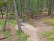 Backyard featuring mature trees with swings and play equipment at 7585 Native Dancer Trl, Evergreen, CO 80439