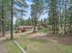 Backyard view of the home and yard, nestled among mature trees at 7585 Native Dancer Trl, Evergreen, CO 80439