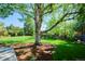 Lush backyard with mature tree, professional landscaping, and privacy fencing at 3666 S Jersey St, Denver, CO 80237