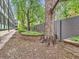 Backyard with trees and a stone patio, providing a serene outdoor space at 1050 N Corona St # 105, Denver, CO 80218