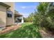 Lush backyard with a covered patio, built-in grill, green lawn, and mature trees, ideal for outdoor enjoyment at 2362 Spruce Way, Denver, CO 80238