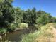 Scenic view of a creek surrounded by lush greenery and trees, offering a tranquil setting at 2925 S Ingalls Way, Denver, CO 80227