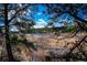 Framed nature scene with a serene lake, tall grasses, and sky viewed through trees at 395 Raspberry Ln, Monument, CO 80132