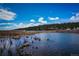 Scenic view of a lake surrounded by lush trees and under a blue sky filled with clouds at 395 Raspberry Ln, Monument, CO 80132