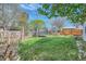 Spacious backyard with a trampoline, wooden fence, and a lush green lawn at 1065 6Th St, Berthoud, CO 80513